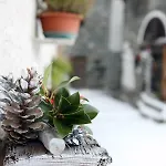 Apartament Maison Cassius