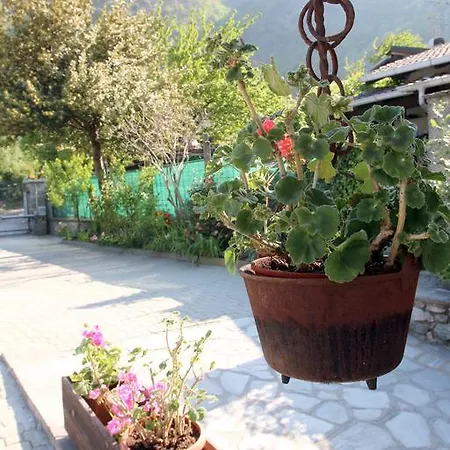 Maison Cassius