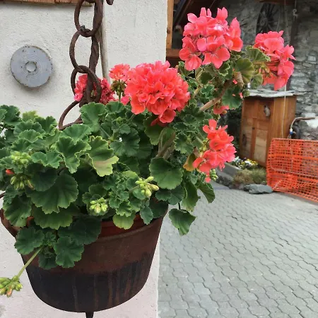 Maison Cassius Issogne