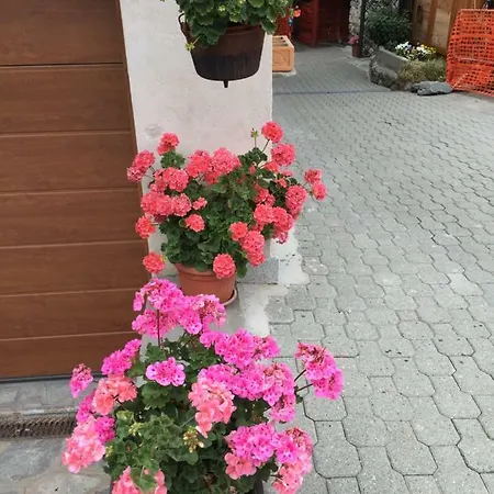 Maison Cassius Apartman *