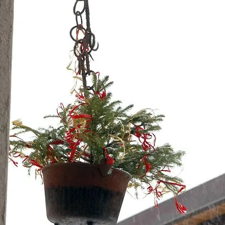 Apartman Maison Cassius *