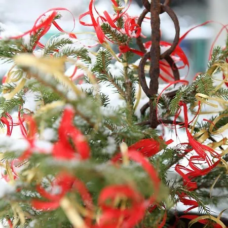 Maison Cassius Apartman