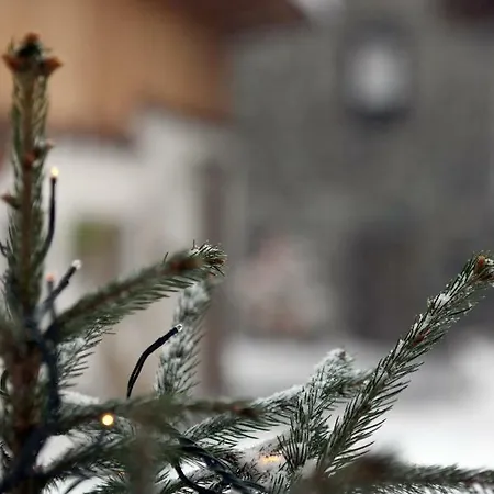 Maison Cassius Lägenhet Issogne