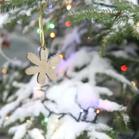 Maison Cassius Lägenhet *