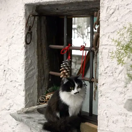 Maison Cassius Lägenhet