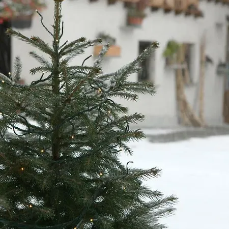 Lägenhet Maison Cassius *