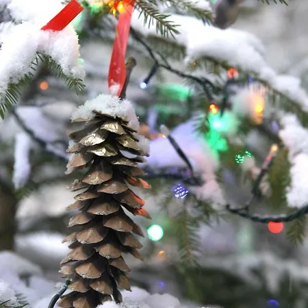 Maison Cassius Lägenhet