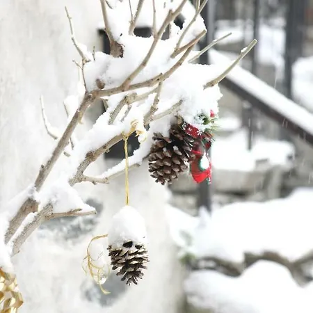 Maison Cassius Issogne