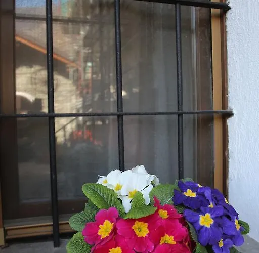 Appartamento Maison Cassius *