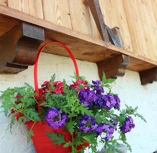 梅森凯斯亚斯公寓 * Issogne