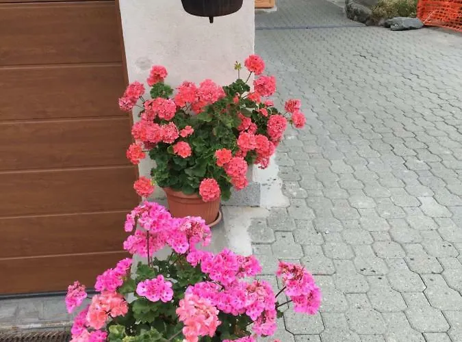 Maison Cassius Appartamento *