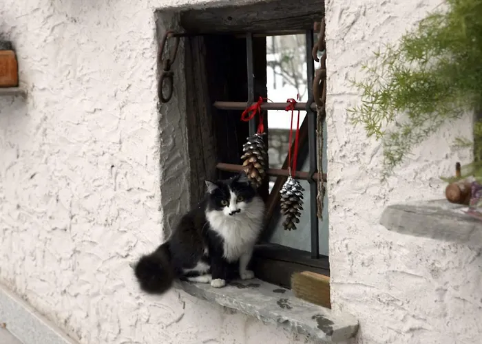 梅森凯斯亚斯公寓