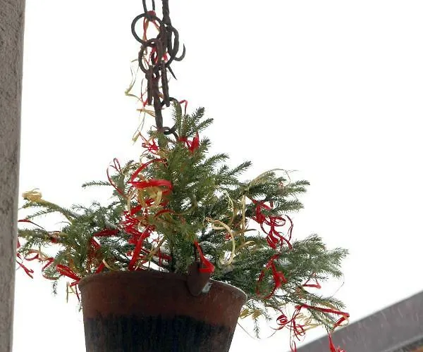 Appartamento Maison Cassius *