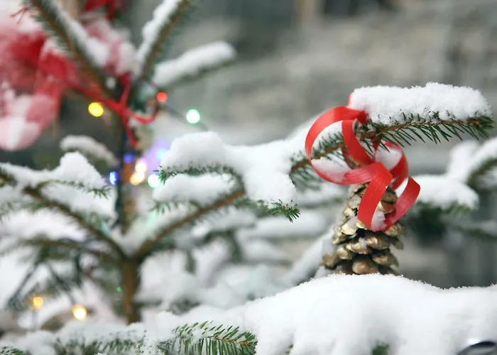 Appartamento Maison Cassius *