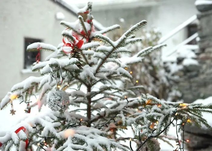 公寓 梅森凯斯亚斯公寓