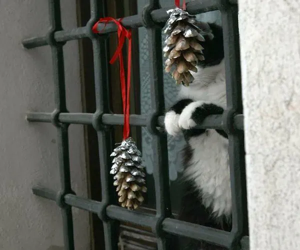 梅森凯斯亚斯公寓 公寓 Issogne