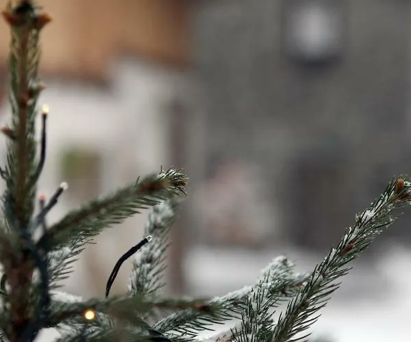 梅森凯斯亚斯公寓 公寓 Issogne