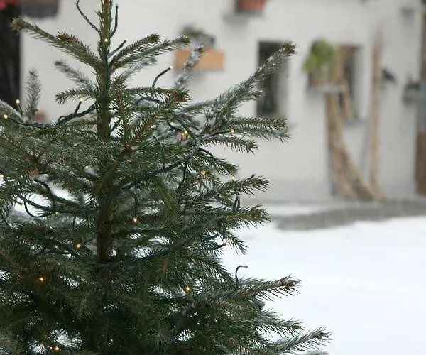 Appartamento Maison Cassius *