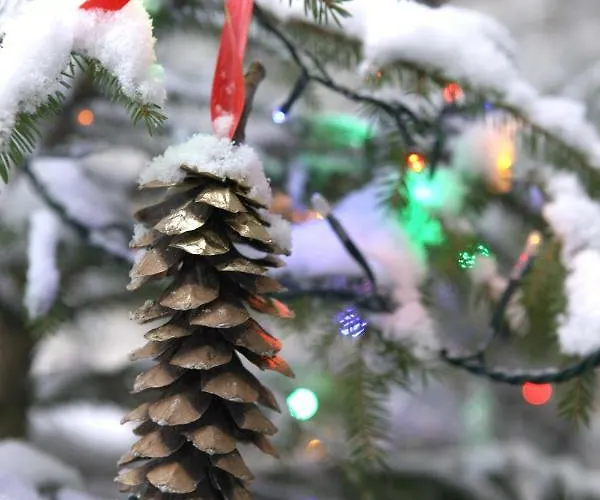 Maison Cassius Appartamento