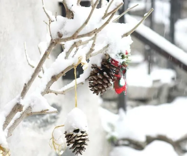 Maison Cassius Issogne